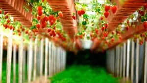 De la huerta a la mesa: los 'jardines comestibles' en Pamplona podrían ser una realidad en varios restaurantes