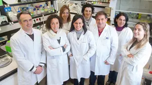 Esperanza en la lucha contra el alzhéimer: investigadores del CIMA encuentran una molécula que podría frenarlo