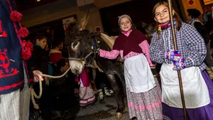 El carbonero de la montaña se ha dado una vuelta por Pamplona