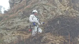 Los ecologistas de Gurelur retira un nido peligroso de cigüeña en el cortado de Falces