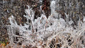 Navarra amanece en negativos: estos son los puntos más fríos de esta jornada heladora con hasta -9 ºC