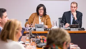 La directora de Sodena justifica el préstamo a Davalor, que "ha acotado riesgos" y se han fijado "objetivos medibles"