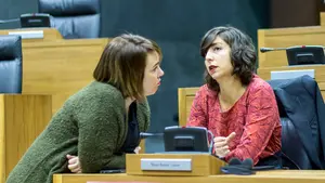 La pugna por el nombre de Podemos se resolverá con la decisión de los servicios jurídicos del Parlamento