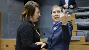 La ley de símbolos tiene sus días contados: el cuatripartito inicia su derogación y abre la puerta a la ikurriña