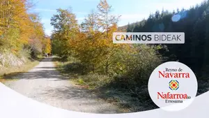 Navarra, una tierra de caminos: así es la propuesta de Turismo para la nueva edición de Fitur
