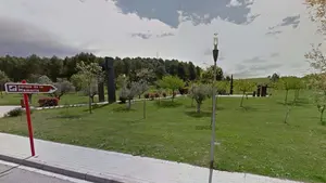 Sartaguda plantará un retoño del Árbol de Gernika en el Parque de la Memoria el próximo 26 de enero