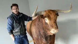 'Coquinero', 'Bandolero' y 'Agujeta', los toros que se podrán contemplar en las visitas al coso de Pamplona