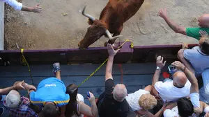 Un juez considera un accidente laboral la cogida de una vaquilla a una camarera de Puente la Reina que iba a trabajar