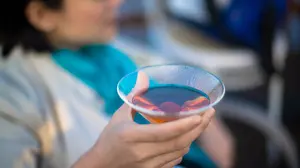 Atrapan en Bilbao a los jóvenes acusados de abusar sexualmente de una chica tras drogarla con burundanga