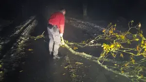 El vendaval que tumba árboles sobre las carreteras navarras: la policía interviene ante varios cortes de vías