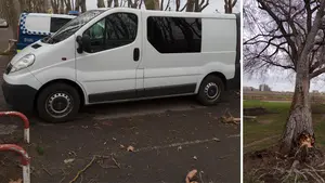 El fuerte viento causa destrozos en varios vehículos y el derrumbe de algunos árboles en Pamplona