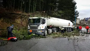 Caen varios pinos sobre un camión cisterna cargado de gasolina y arrastran el tendido eléctrico en Olazagutía
