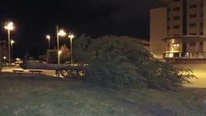 Lo que el viento se llevó: las imágenes más impactantes que deja el temporal de viento en Navarra