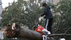 Así ha sido el temporal de viento en Navarra: tejados arrancados, árboles derribados y carreteras y vías de tren cortadas