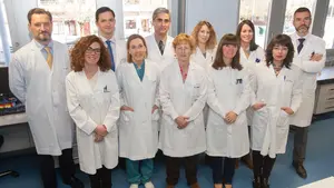 Un grupo de investigadores navarros identifican una molécula asociada a mayores índices de obesidad y diabetes 