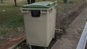 Piden 27 a&ntilde;os de c&aacute;rcel para una madre que abandon&oacute; a su beb&eacute; reci&eacute;n nacido dentro de una bolsa en un contenedor