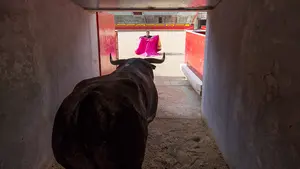 Las visitas al nuevo museo interactivo de la plaza de toros de Pamplona comenzarán a la vuelta de Semana Santa