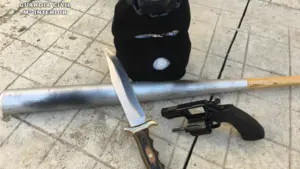 La Guardia Civil desmantela un grupo criminal dedicado al robo de viviendas en Navarra y La Rioja