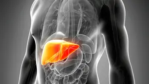 Descubierta en Pamplona una nueva enfermedad hep&aacute;tica causada por una mutaci&oacute;n gen&eacute;tica