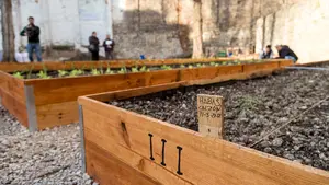 Los 'brotes verdes' de San Juan ya tienen dueño: este es el colectivo que se encargará del huerto urbano