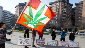 Absuelven a un club de cannabis de Villava al entender que la actuación de la Policía Foral fue "irregular"