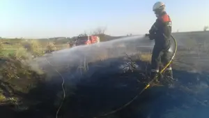 Los bomberos sofocan al cabo de dos horas un incendio forestal en la localidad de Andosilla