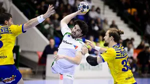 El Helvetia busca este miércoles la victoria frente al Bidasoa para afianzar su posición y disputar la Copa Asobal