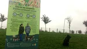 Perros sueltos en Mutilva: un proyecto piloto del ayuntamiento permite pasearlos sin correa desde el 1 de marzo