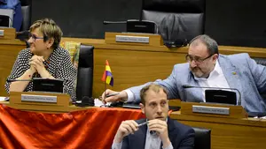 Un nuevo veto del cuatripartito: impiden que se emita un informe sobre la colocación de la bandera republicana en la Cámara foral