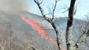 Fuego descontrolado en Errazu: los bomberos sofocan manualmente las llamas en una reserva natural de difícil acceso