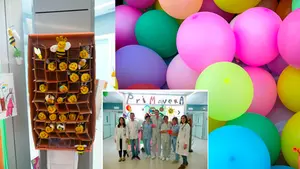 Una decoración primaveral busca dar un respiro a los pacientes de Oncología del Complejo Hospitalario de Navarra