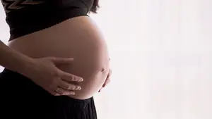 El debate de los vientres de alquiler entra a la Cámara foral: una jornada reivindica "el derecho de la mujer a vivir como quiera"