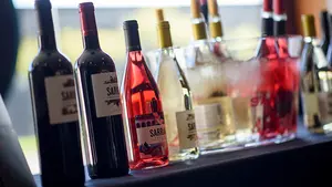 Casi una treintena de vinos navarros reconocidos en un concurso internacional celebrado en Burdeos