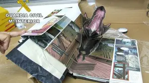 Traficaban con speed y hachís que escondían en libros infantiles y desplegables de 'Drácula' 