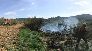 Los bomberos sofocan un fuego que ha afectado a una zona con resto de poda de olivos en Cáseda
