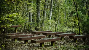 Condenan a una pareja de novios por intentar ocultar el intento de agresión sexual que ambos presenciaron en Andosilla