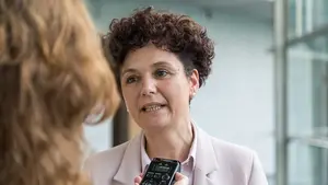 El PSN solicita de nuevo a la Cámara de Comptos un informe de fiscalización de la Renta Garantizada