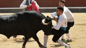 El recortador Jonathan Castaño sufre dos graves cornadas tras ser prendido por un toro en Las Ventas