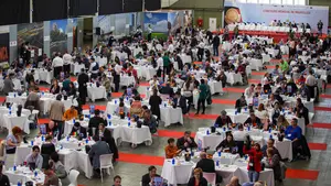 Los vinos navarros se cuelgan 23 medallas en el Mundial de Bruselas y se acreditan como unos de los mejores caldos del mundo