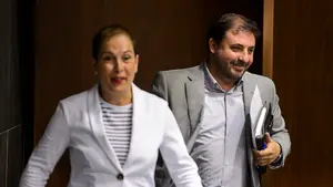 El PNV tilda de manipulación las críticas de la oposición por proponer una "Comunidad Foral Vasca"