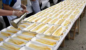 El espárrago y la ternera de Navarra 'hacen las maletas': las denominaciones participan en un evento nacional