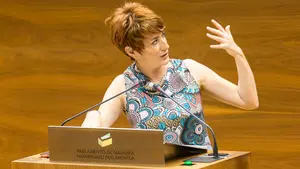 Bildu no reclama la disolución de ETA: prefiere hablar de "reconciliación" y no de "castigos"