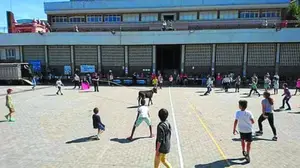 Denuncian la suelta de una vaquilla durante la fiesta infantil de fin de curso de un colegio