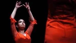 La m&uacute;sica de rondallas y las bailadoras de flamenco se fusionan en el Memoria Manuel Turrillas: las mejores im&aacute;genes del encuentro
