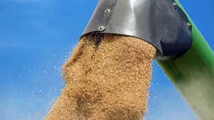 Varios estafados en Navarra al comprar por Internet maquinaria agrícola que nunca llegaba: dos personas han sido detenidas