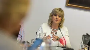 Ollo justifica la obsesión por el euskera del Ejecutivo foral y asegura que las denominaciones bilingües "regularán el desorden"