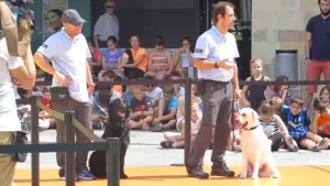 El mejor amigo del hombre triunfa en Mutilva: la ONCE organiza una exhibición para mostrar las habilidades de los perros guía
