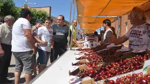 El ritmo de la cereza: Milagro exalta su fruto más famoso y rinde tributo a los músicos locales