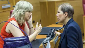 El cuatripartito aprueba la expansión del euskera por Navarra: 44 municipios podrán entrar a la Zona Mixta, pero no salir de ella