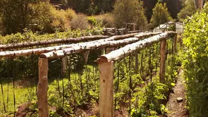 El Ministerio reconoce la "gravedad" de la situación de los regadíos navarros de la Cuenca del Ebro por la sequía